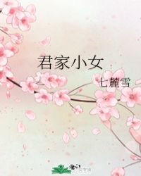 君家小女封面