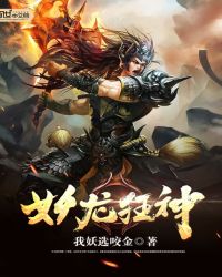 妖龙狂神封面