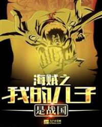海贼之我的儿子是战国封面