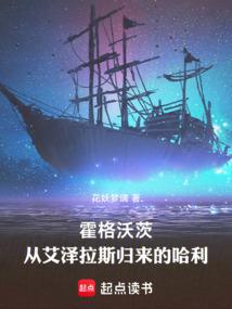 霍格沃茨：从艾泽拉斯归来的哈利封面