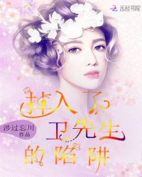 掉入了卫先生的陷阱封面