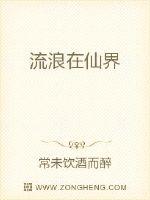 流浪在仙界封面