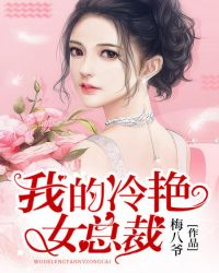 我的冷艳女总裁封面