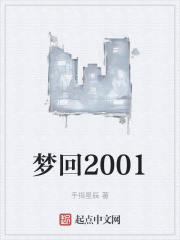 梦回2001封面