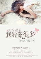 天国的情歌：我爱你很多封面