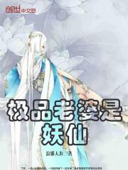 极品老婆是妖仙封面