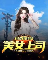 我的双胞胎美女上司封面
