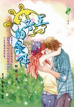 王子的条件封面