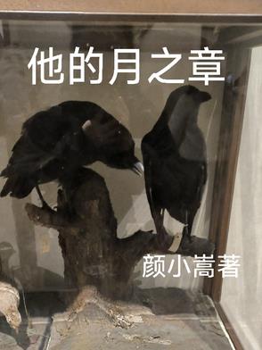 他的月之章封面