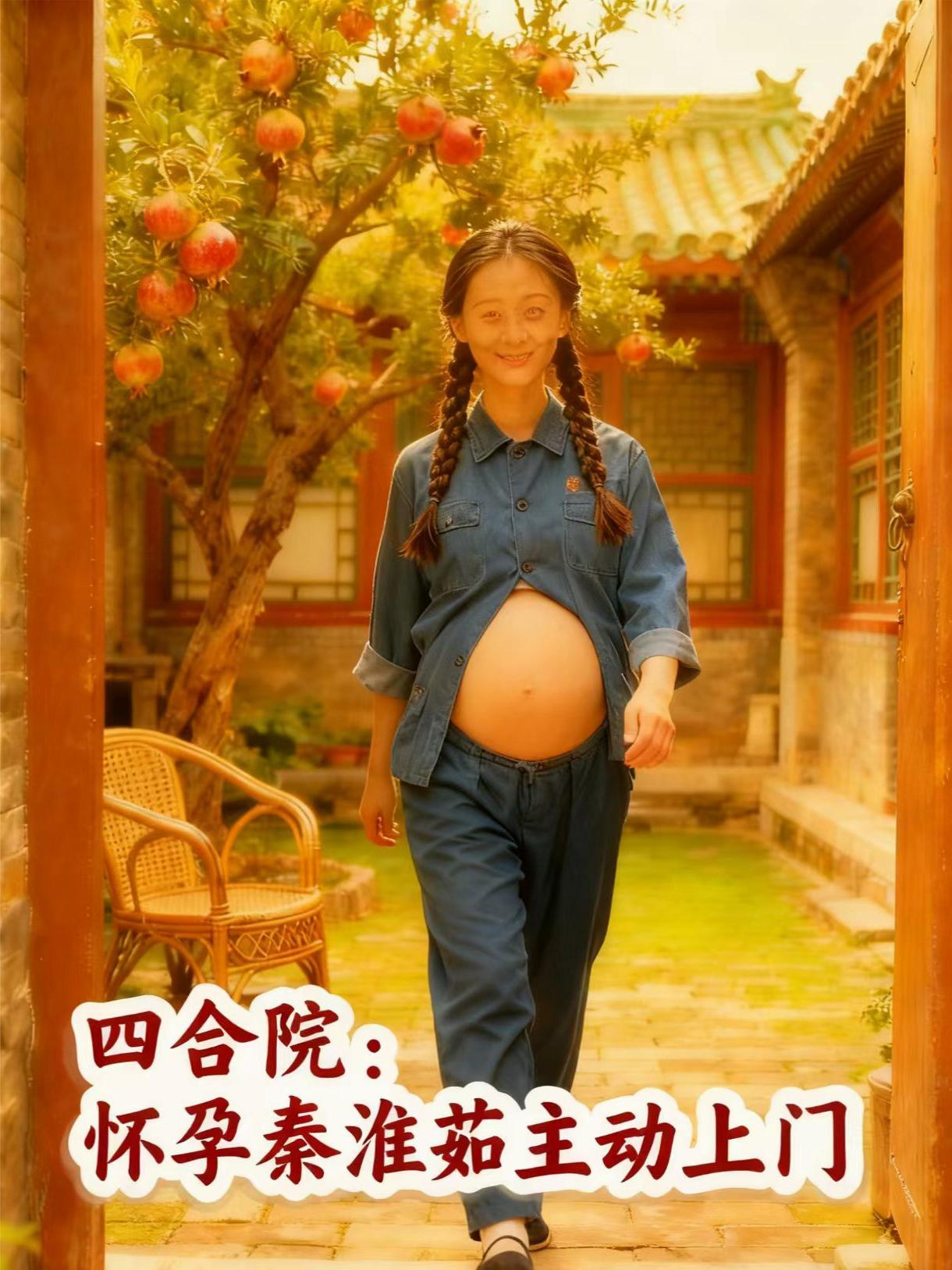四合院：怀孕秦淮茹主动上门封面