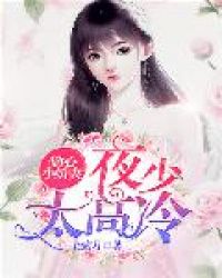 偷心小娇妻：夜少，太高冷封面