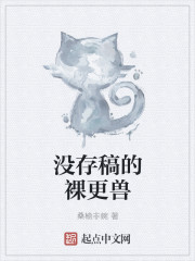 没存稿的裸更兽封面