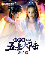 混迹在五岳大陆封面