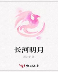 长河明月封面