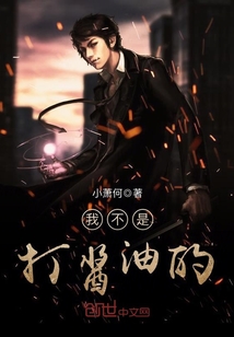 我不是打酱油的封面