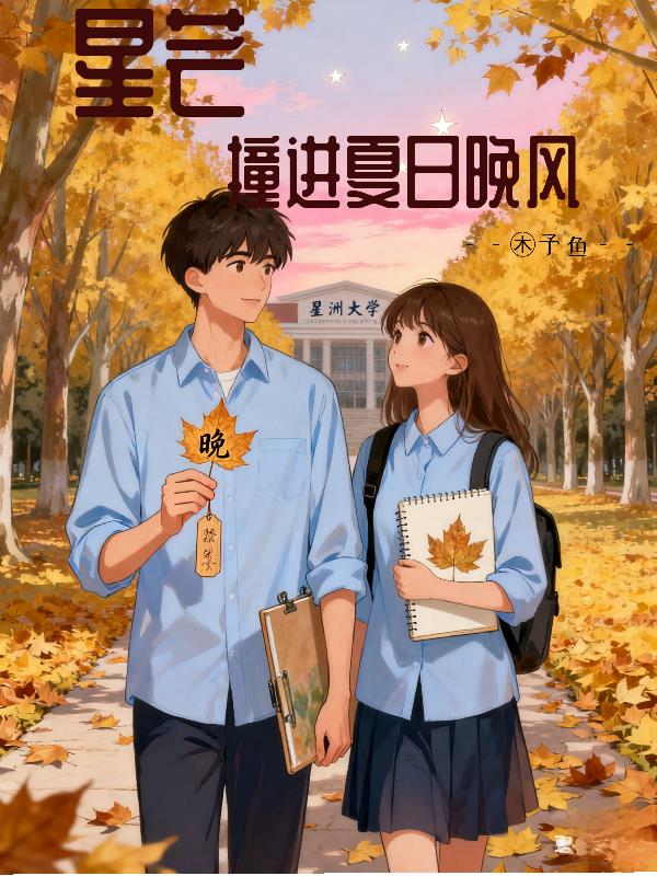 星芒撞进夏日晚风封面