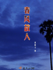春风故人封面