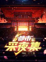 都市采夜集封面