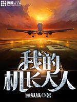 我的机长大人封面