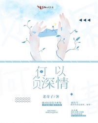 何以负深情封面
