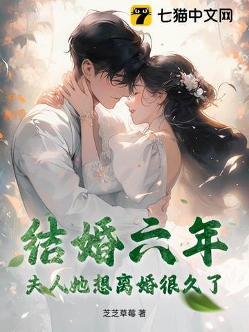 结婚六年，夫人她想离婚很久了封面