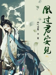 凰过君安见封面