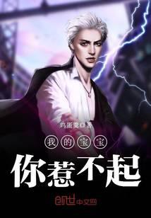 我的宝宝你惹不起封面