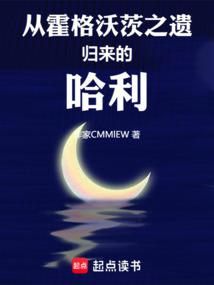 从霍格沃茨之遗归来的哈利封面
