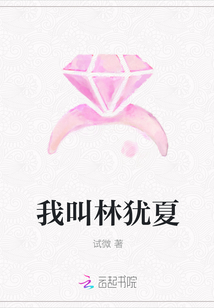 我叫林犹夏封面