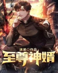 至尊神婿封面