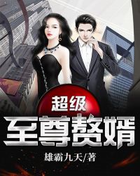 超级至尊赘婿封面