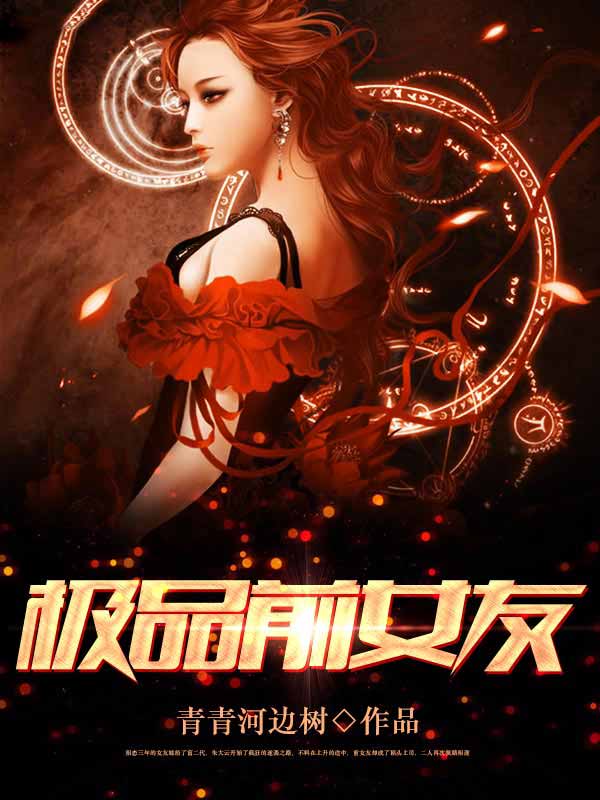 极品前女友封面