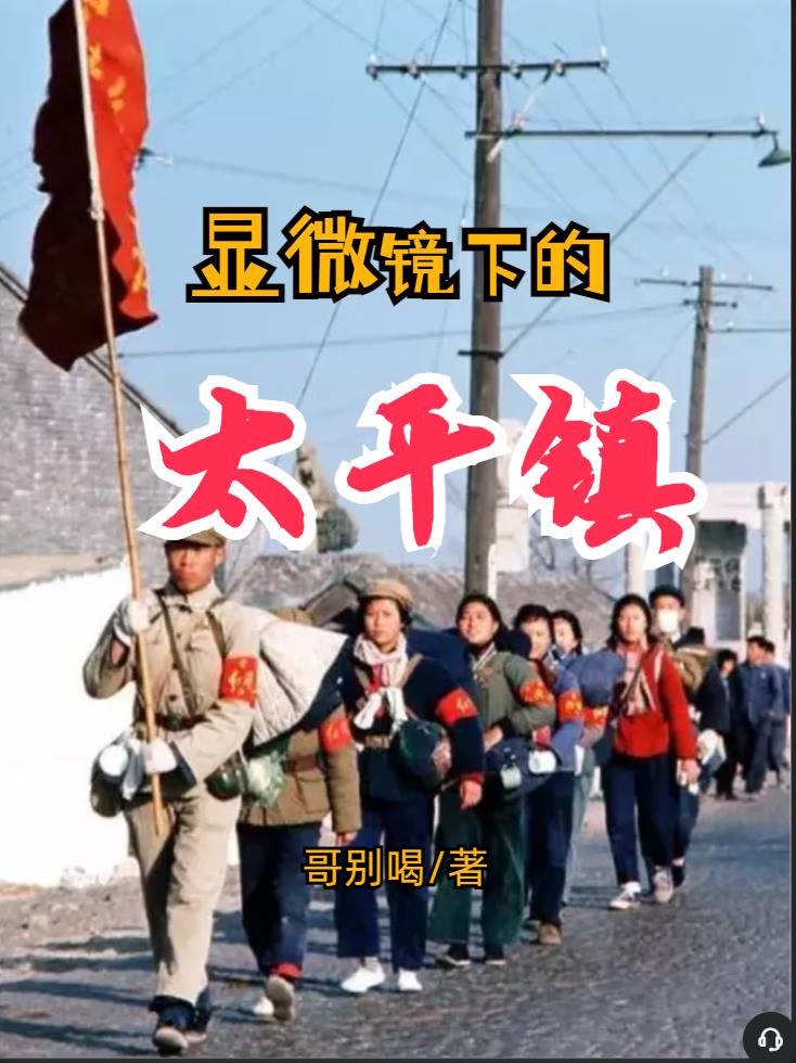 显微镜下的太平镇封面