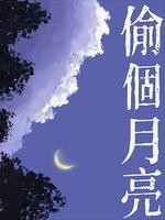 偷个月亮封面