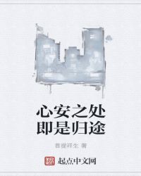 心安之处即是归途封面