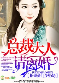 拒做豪门少奶奶,总裁大人请离婚封面
