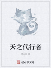 天之代行者封面