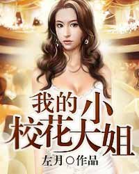 我的校花大小姐封面
