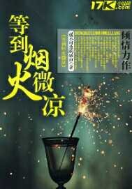 等到烟火微凉封面