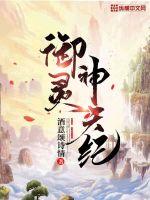 御灵神天纪封面