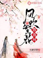 风吹繁花散落时封面