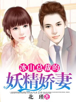 冰山总裁的妖精娇妻封面
