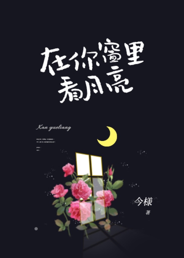 在你窗里看月亮封面