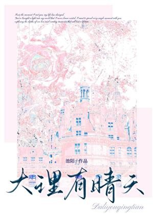大理有晴天封面