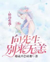 婚劫难逃：向先生，别来无恙封面