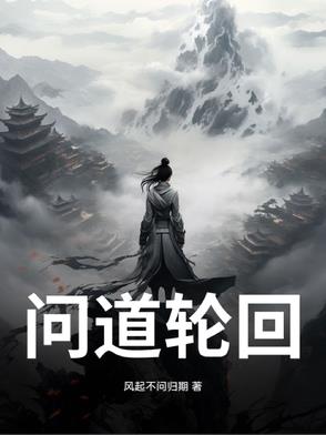 问道轮回封面