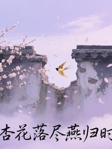 杏花落尽燕归时封面