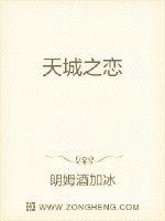 天城之恋封面