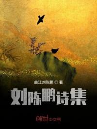 刘陈鹏诗集封面