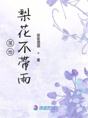 落地梨花不带雨封面